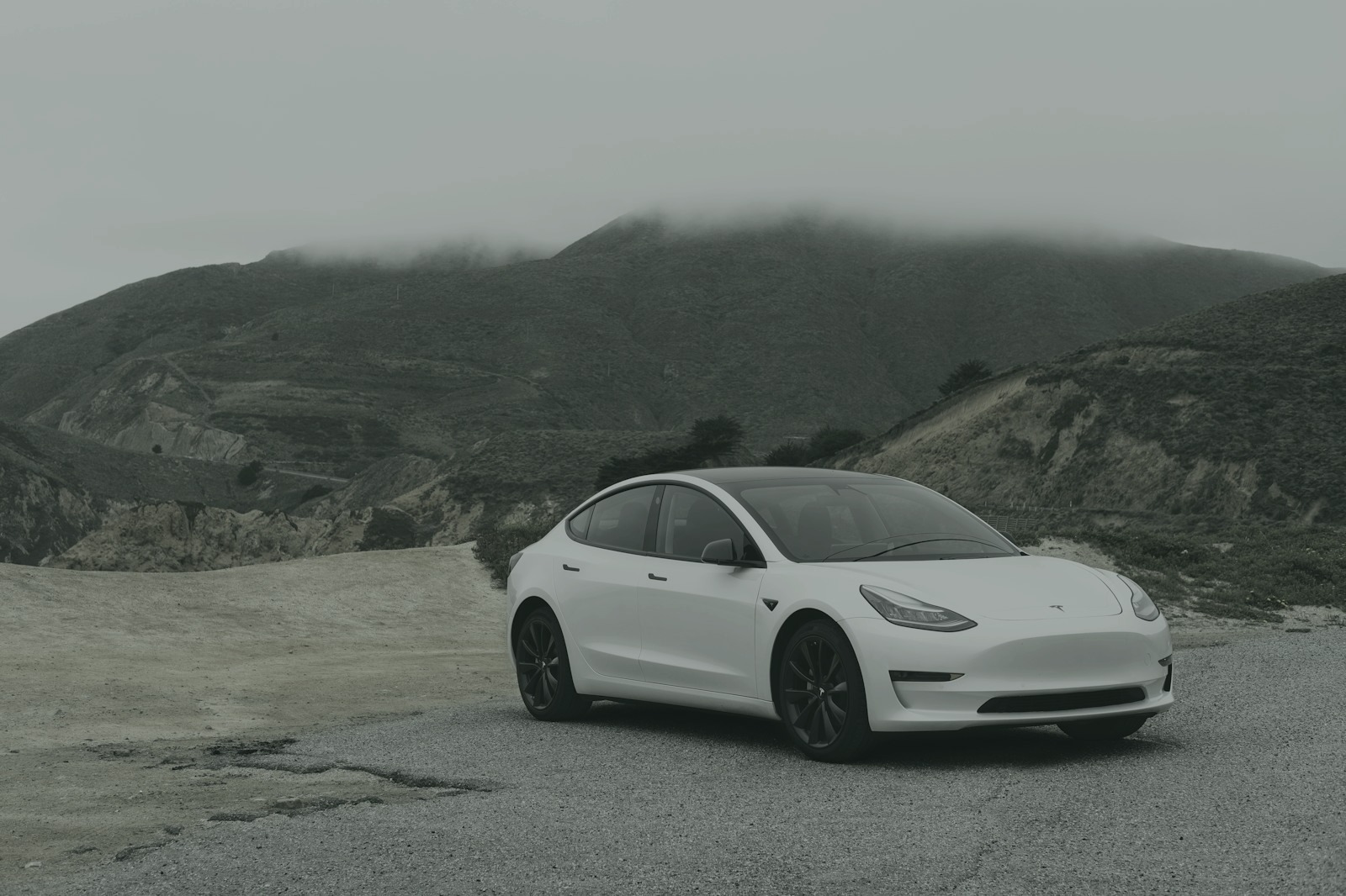 Electric Cars rental fleet